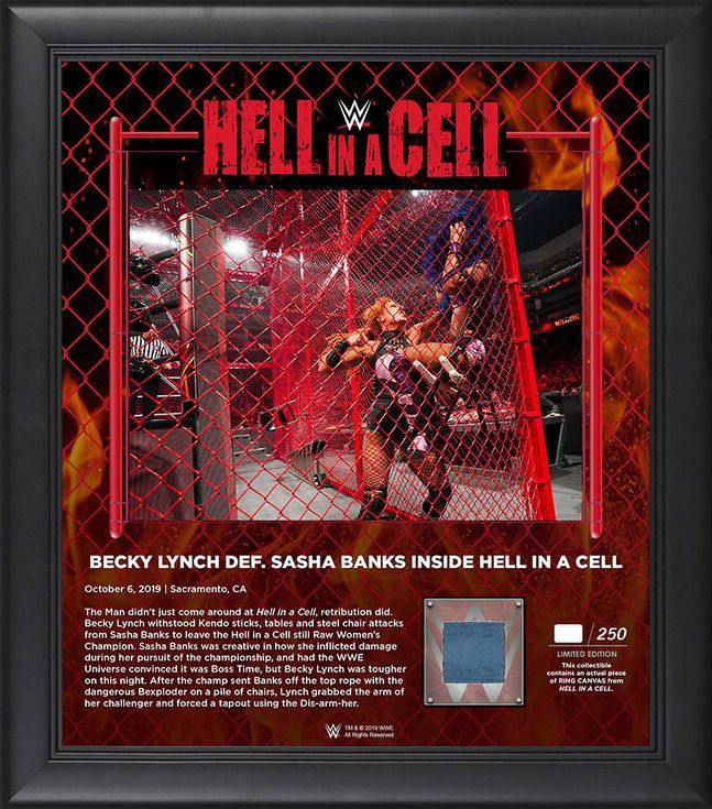 Becky Lynch Hell in a Cell 2019 15 x 17 Framed Plaque w Ring Canvas Pwcatalog