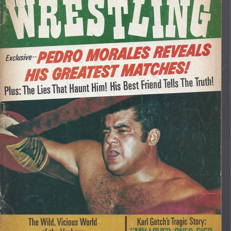 Big Book of Wrestling February 1972 Magazine PWcatalog