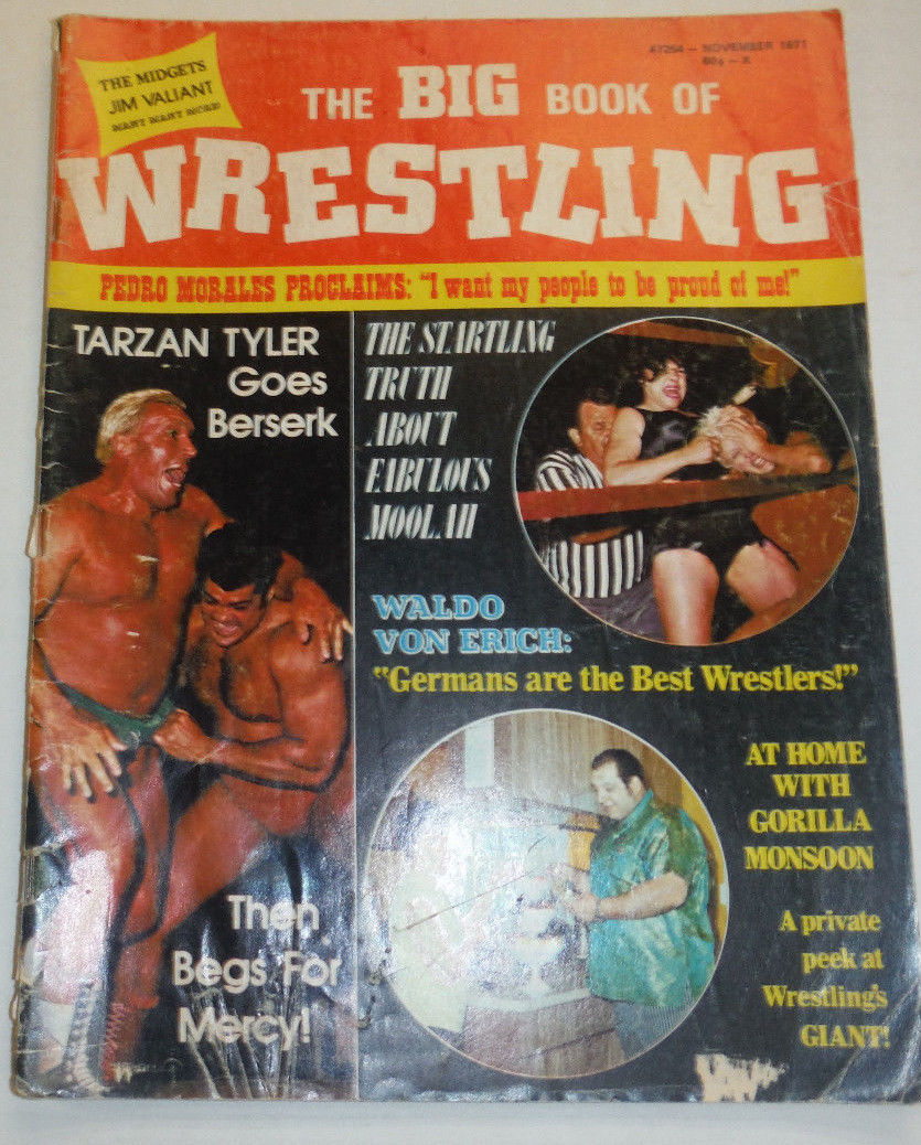 Big Book of Wrestling November 1971 Magazine PWcatalog