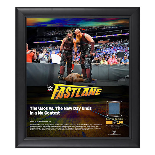 Bludgeon Brothers FastLane 2018 15 x 17 Framed Plaque w Ring Canvas