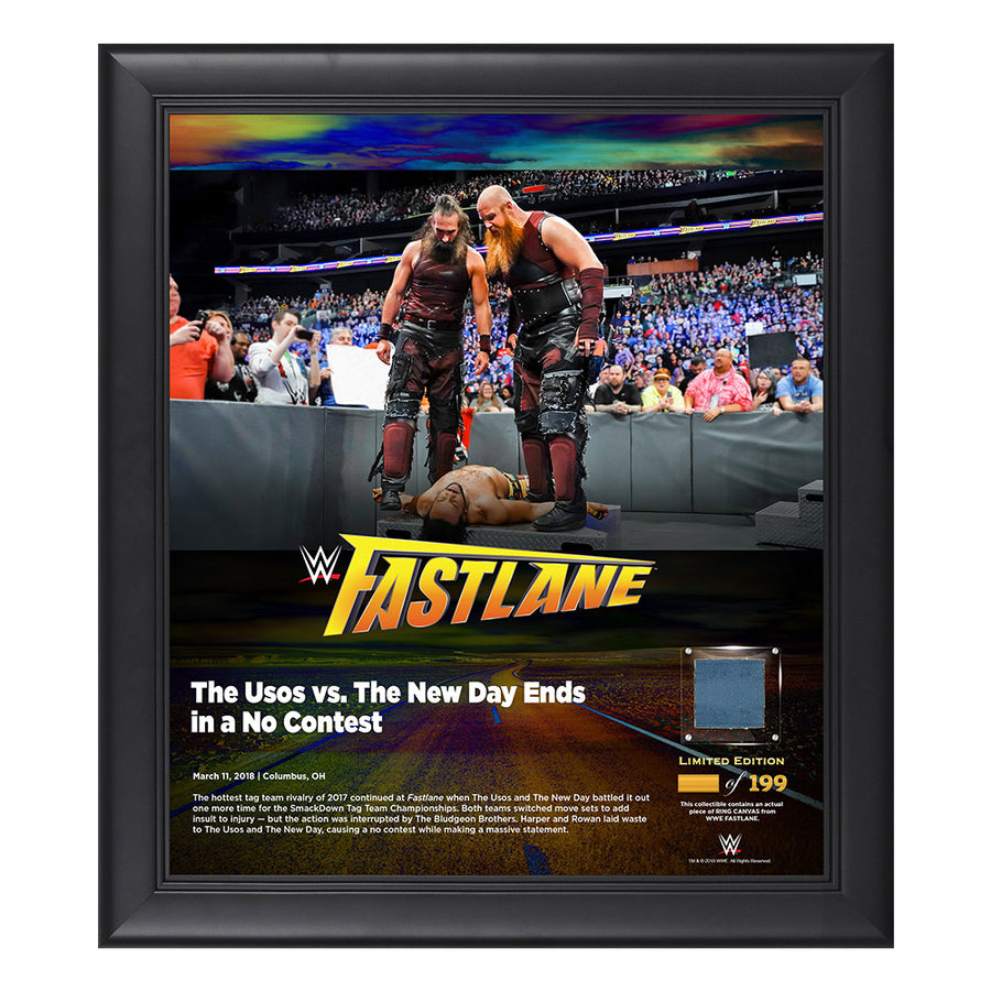 Bludgeon Brothers FastLane 2018 15 x 17 Framed Plaque w Ring Canvas