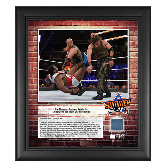 Bludgeon Brothers SummerSlam 2018 15 x 17 Framed Plaque w Ring Canvas