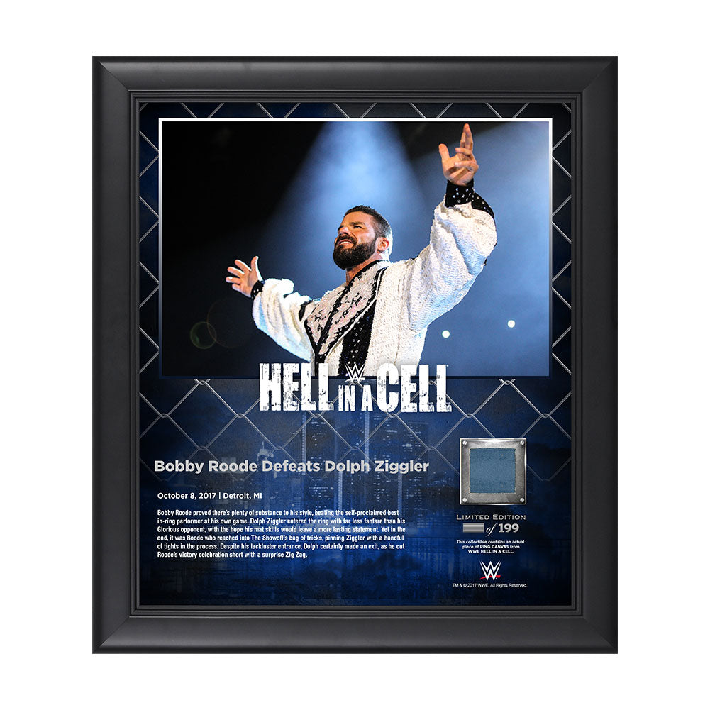 Bobby Roode Hell In A Cell 2017 15 x 17 Framed Plaque w Ring Canvas Pwcatalog