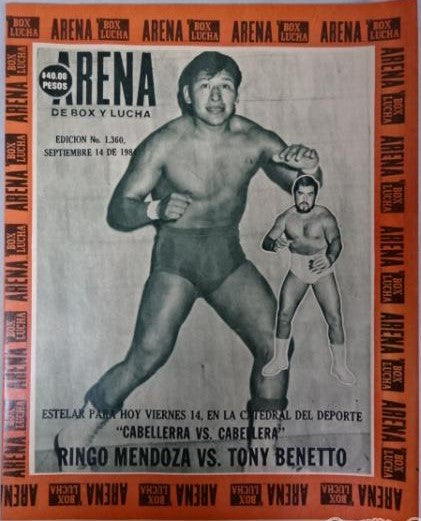 Box y Lucha 1360 Magazine PWcatalog