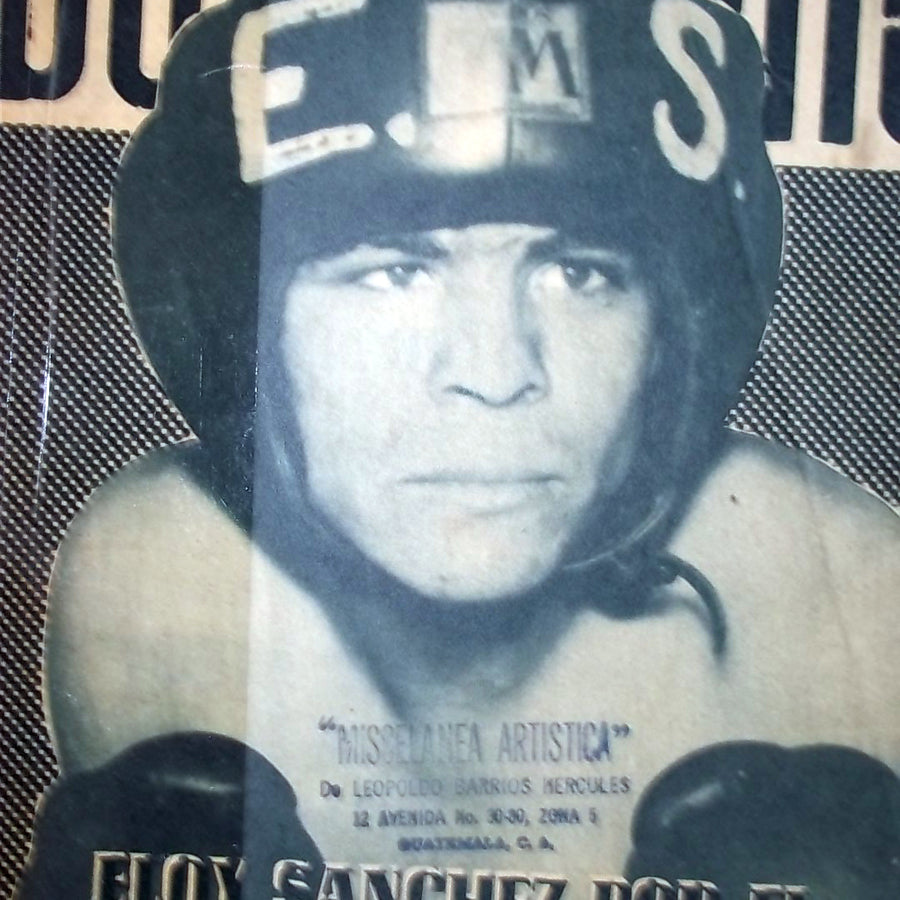 Box y Lucha 439 Magazine PWcatalog