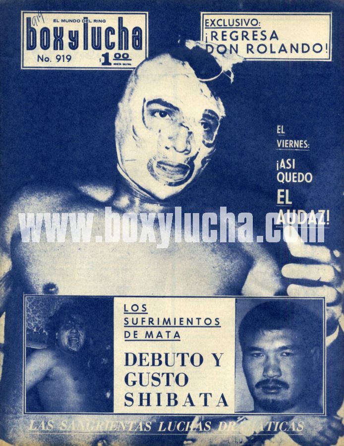 Box y Lucha 919 Magazine PWcatalog