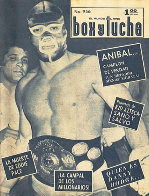 Box y Lucha 956 Magazine PWcatalog