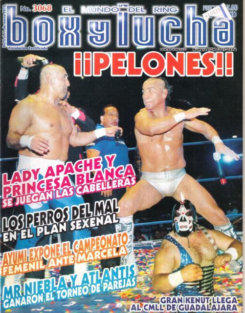Box Y Lucha Volume 3068 Magazine PWcatalog