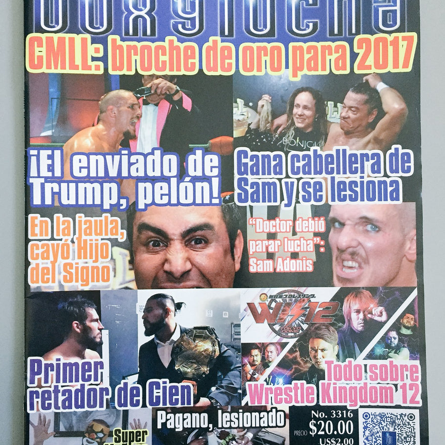 Box Y Lucha Volume 3316 Magazine PWcatalog