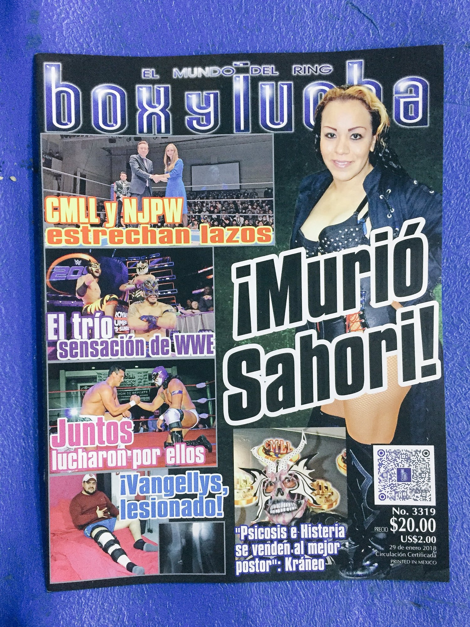 Box Y Lucha Volume 3319