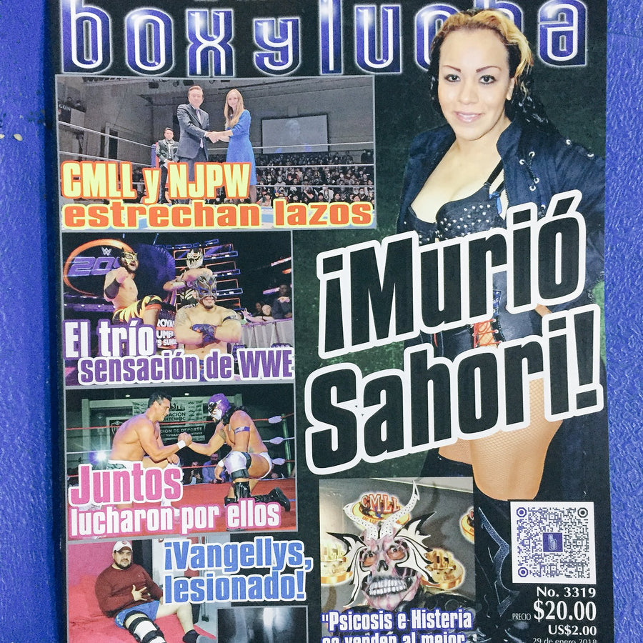 Box Y Lucha Volume 3319 Magazine PWcatalog