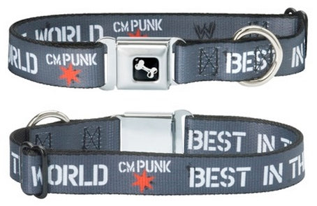 CM Punk Best In The World Dog Collar Pwcatalog
