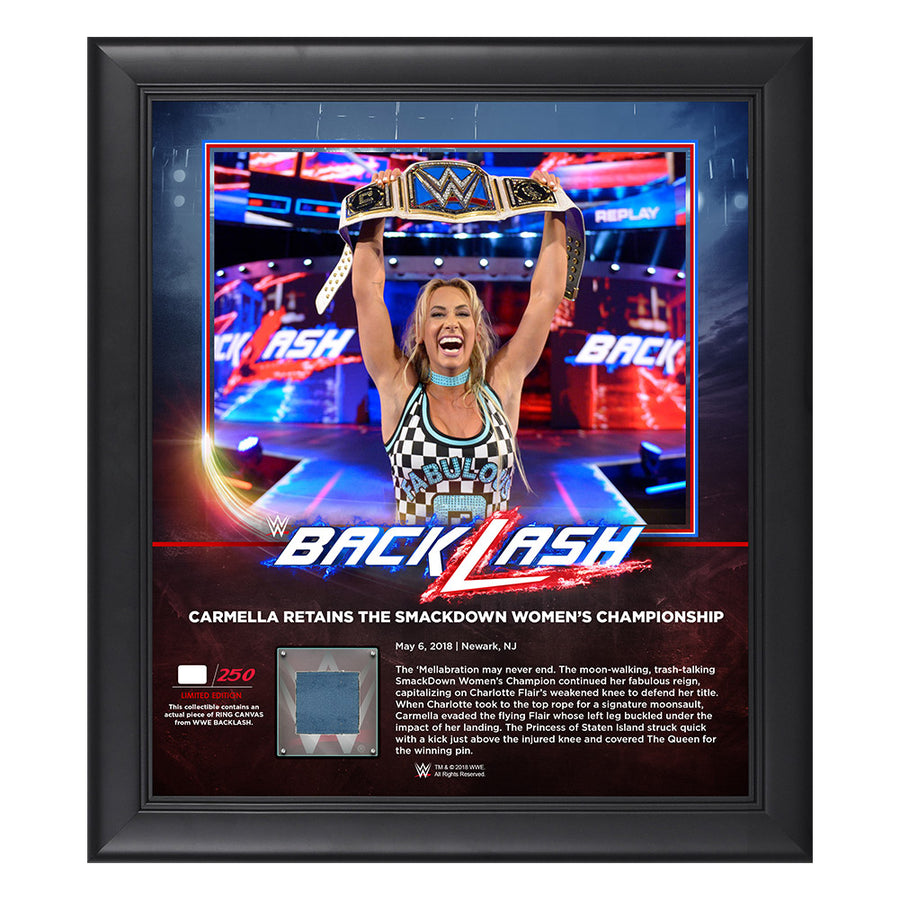 Carmella BackLash 2018 15 x 17 Framed Plaque w Ring Canvas Pwcatalog