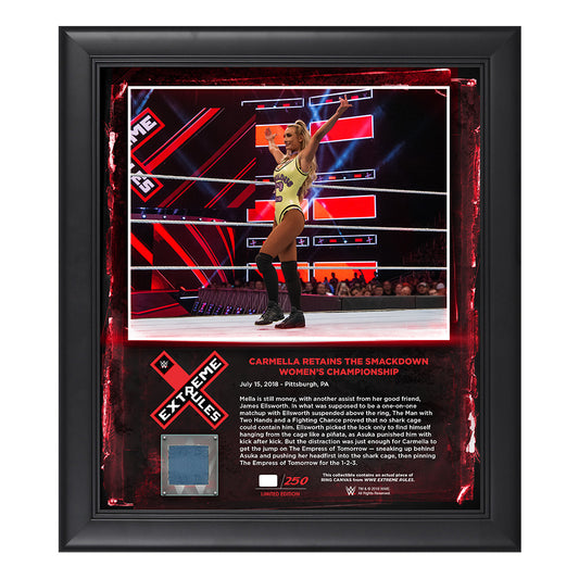 Carmella Extreme Rules 2018 15 x 17 Framed Plaque w Ring Canvas
