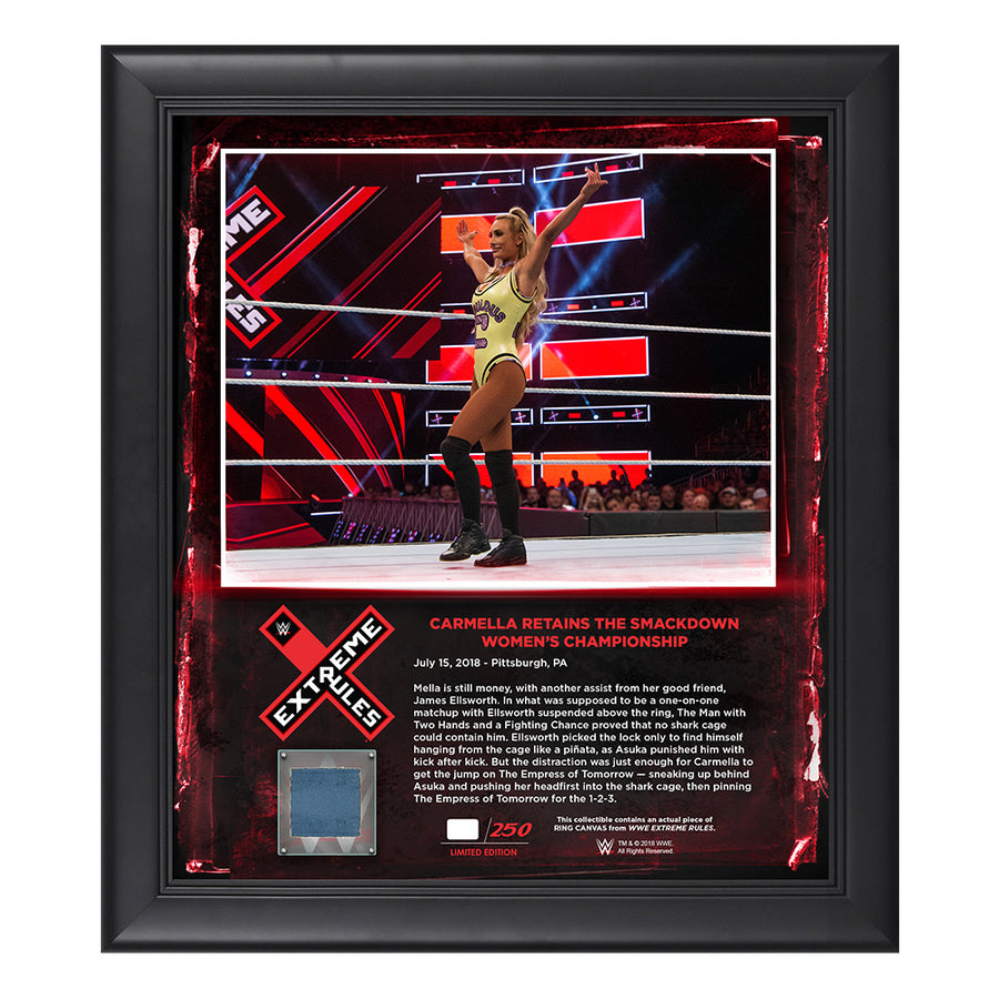 Carmella Extreme Rules 2018 15 x 17 Framed Plaque w Ring Canvas Pwcatalog