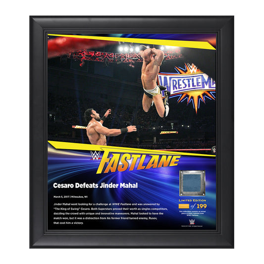 Cesaro FastLane 2017 15 x 17 Framed Plaque w Ring Canvas Pwcatalog