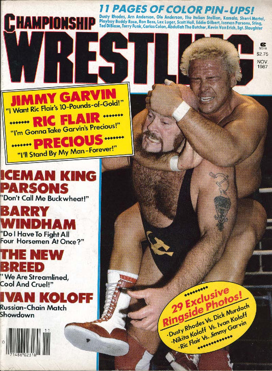Championship Wrestling November 1987