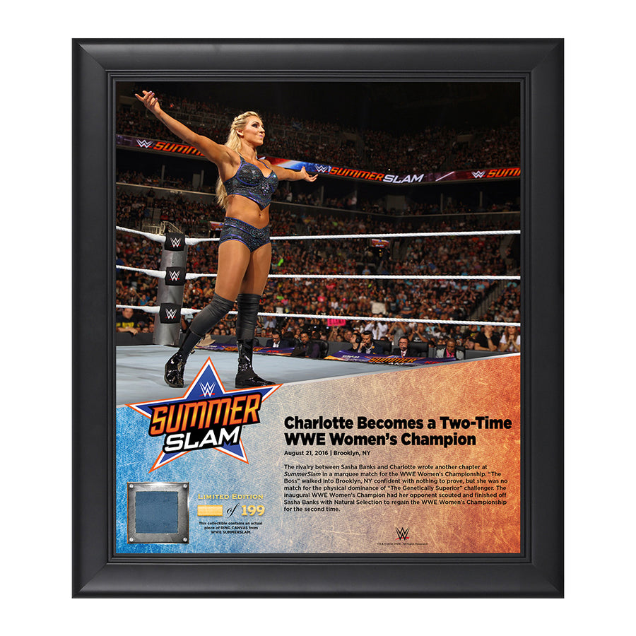 Charlotte SummerSlam 2016 15 x 17 Framed Plaque w Ring Canvas Pwcatalog