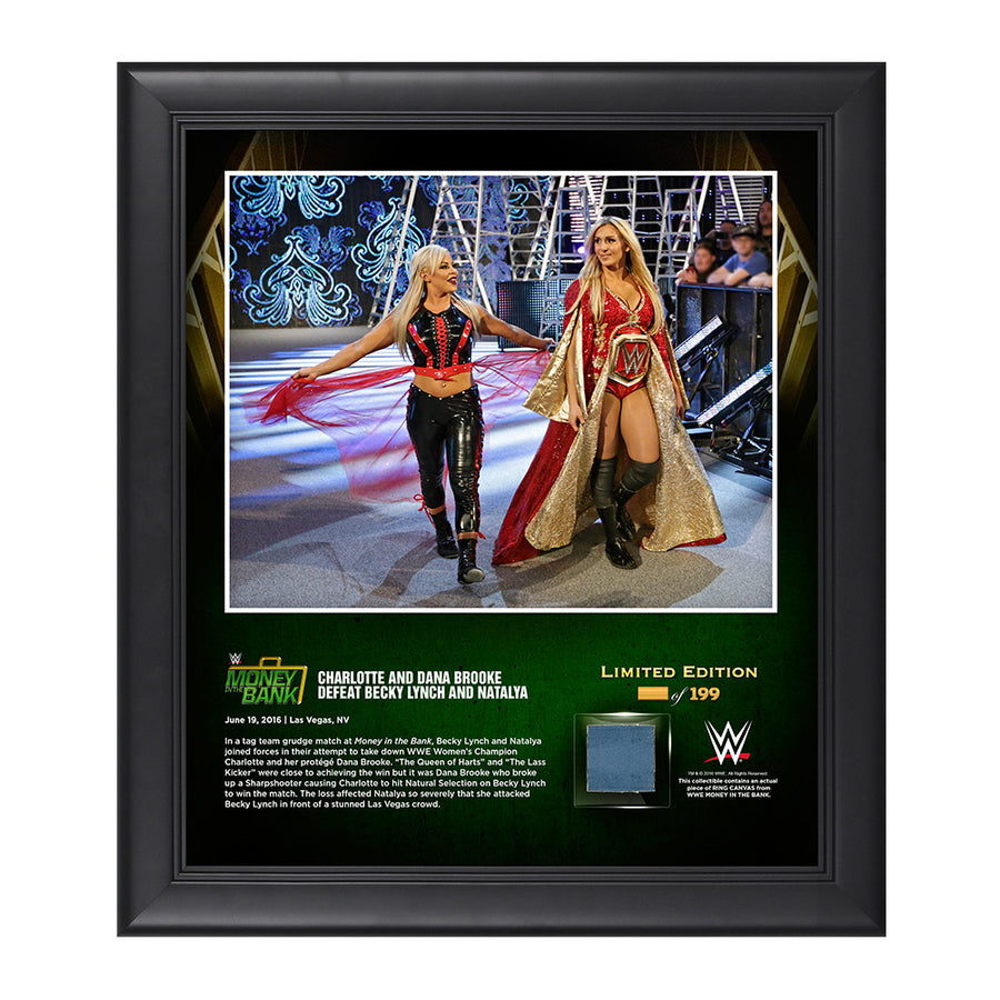 Charlotte and Dana Brooke Money In The Bank 2016 15 x 17 Framed Photo