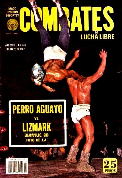 Combates de Lucha Libre 341 Magazine PWcatalog