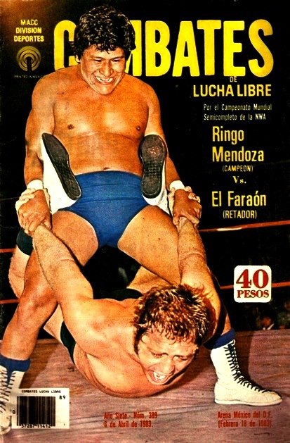 Combates de Lucha Libre 389 Magazine PWcatalog