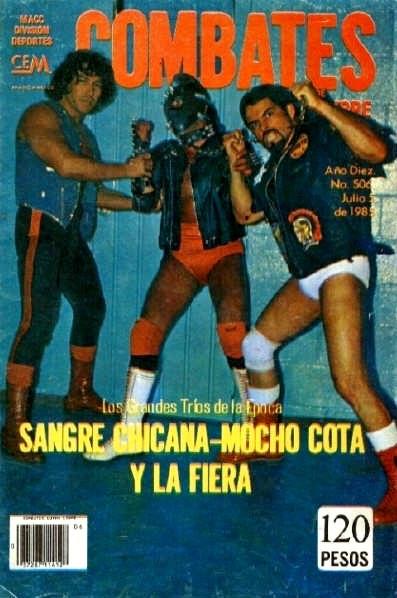 Combates de Lucha Libre 506 Magazine PWcatalog