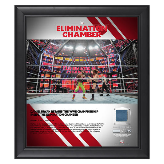 Daniel Bryan Elimination Chamber 2019 15 x 17 Framed Plaque w Ring Canvas