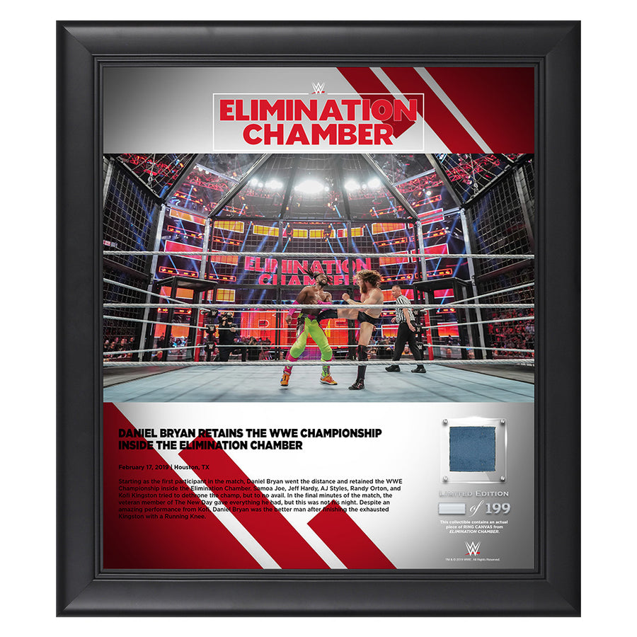 Daniel Bryan Elimination Chamber 2019 15 x 17 Framed Plaque w Ring Canvas Pwcatalog