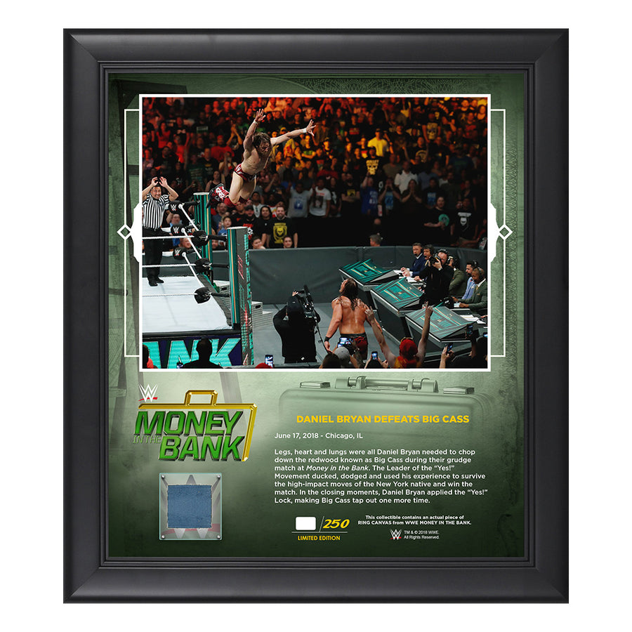 Daniel Bryan Money in The Bank 2018 15 x 17 Framed Plaque w Ring Canvas Pwcatalog