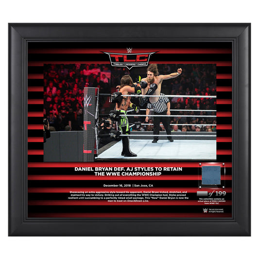 Daniel Bryan TLC 2018 15 x 17 Framed Plaque w Ring Canvas