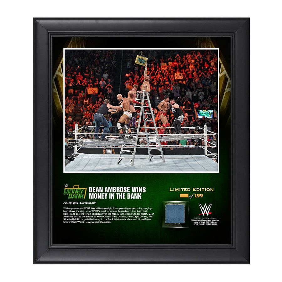 Dean Ambrose Money In The Bank Ladder Match 2016 15 x 17 Framed Photo Pwcatalog
