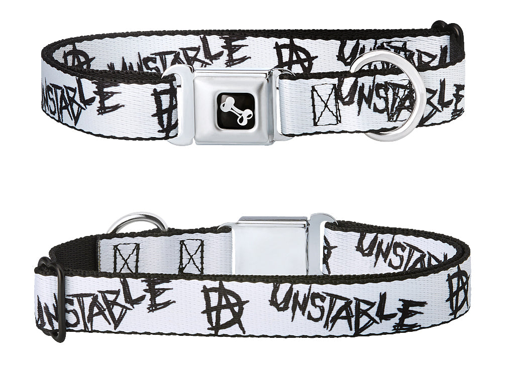 Dean Ambrose Unstable Dog Collar
