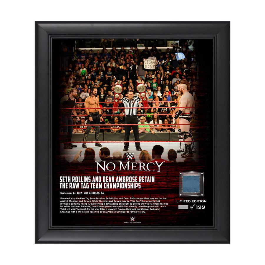 Dean Ambrose & Seth Rollins No Mercy 2017 15 x 17 Framed Plaque w Ring Canvas Pwcatalog