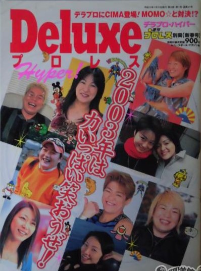 Deluxe Wrestling 41 Magazine PWcatalog