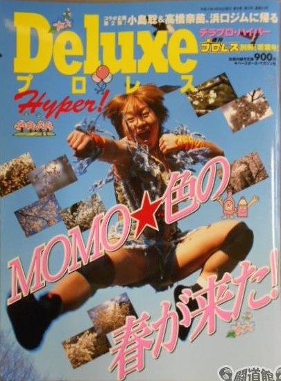 Deluxe Wrestling 43 Magazine PWcatalog
