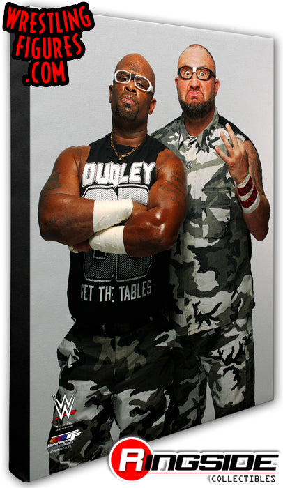 Dudley Boyz - WWE 16x20 Canvas Print Pwcatalog