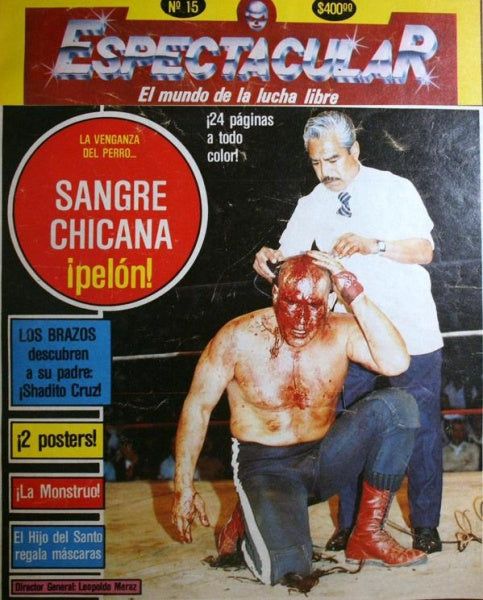 Espectacular 15 Magazine PWcatalog