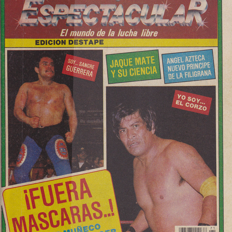 Espectacular 71 Magazine PWcatalog