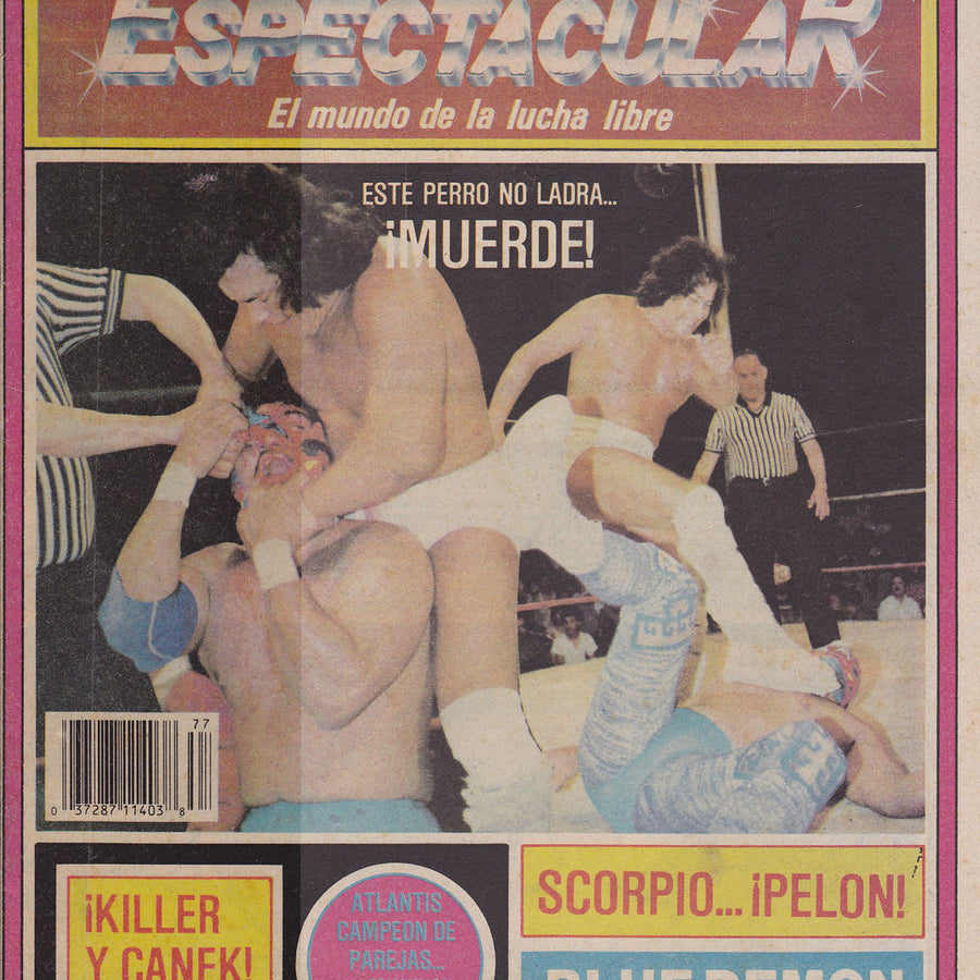 Espectacular 77 Magazine PWcatalog