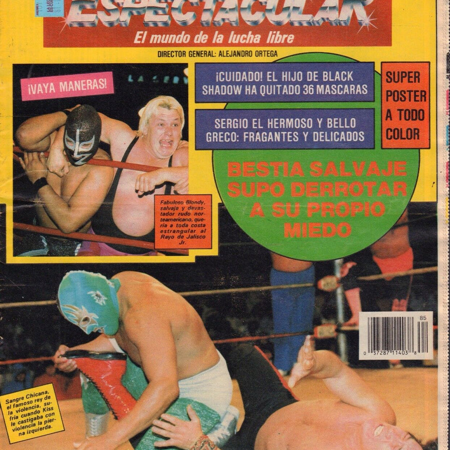 Espectacular 85 Magazine PWcatalog