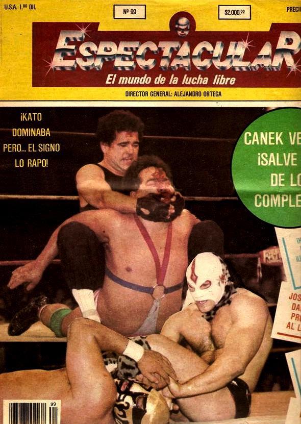 Espectacular 99 Magazine PWcatalog