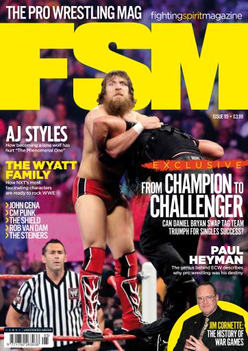 Fighting Spirit Magazine 95 Magazine PWcatalog