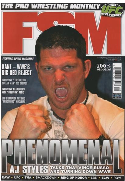 Fighting Spirit Magazine 29 Magazine PWcatalog