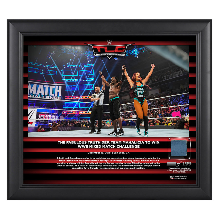 Fabulous Truth TLC 2018 15 x 17 Framed Plaque w Ring Canvas Pwcatalog