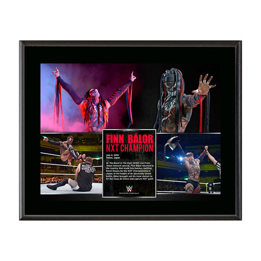 Finn Bálor NXT Championship Victory 10.5 x 13 Photo Collage Plaque