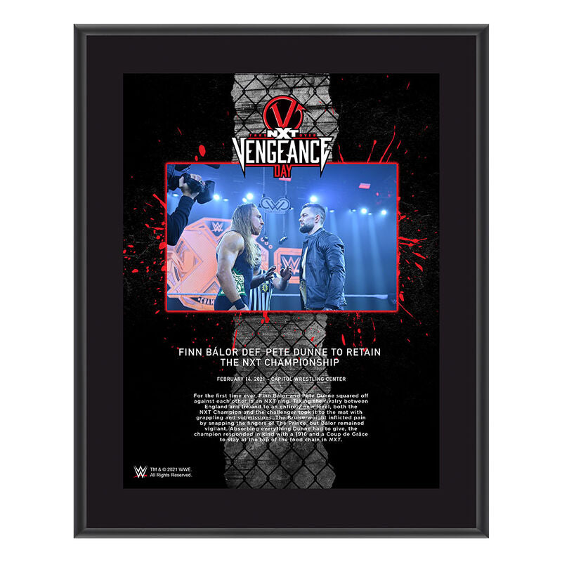 Finn Bálor NXT TakeOver Vengeance Day 10x13 Commemorative Plaque Pwcatalog