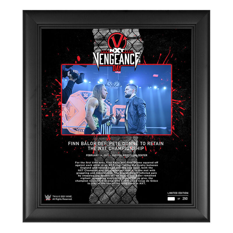 Finn Bálor NXT TakeOver Vengeance Day 15x17 Commemorative Plaque Pwcatalog