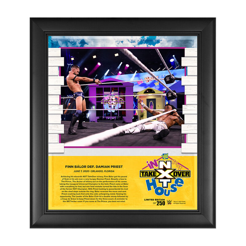 Finn Balor NXT TakeOver In Your House 2020 15 x 17 Limited Edition Plaque Pwcatalog