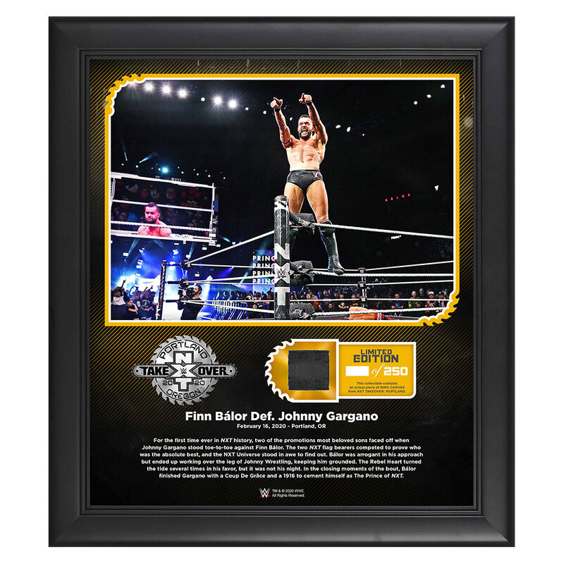 Finn Balor NXT TakeOver Portland 15 x 17 Limited Edition Plaque Pwcatalog