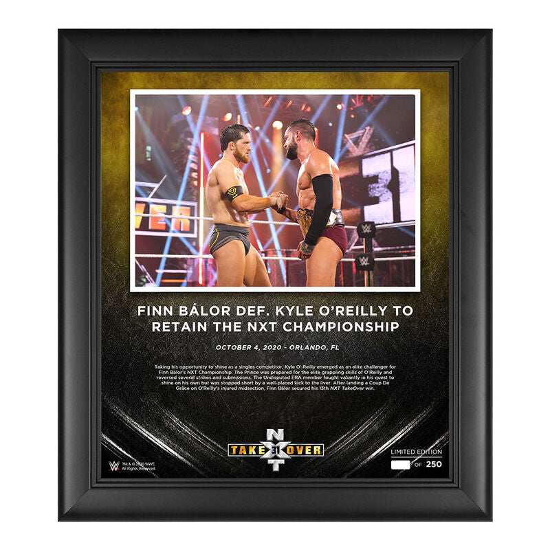 Finn Balor NXT Takeover 31 15 x 17 Commemorative Plaque Pwcatalog
